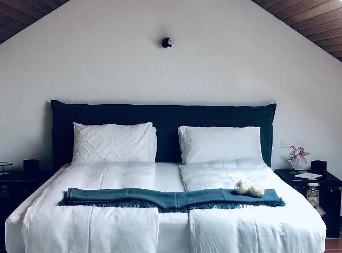 La Corte Dell'ulivo * Локарно