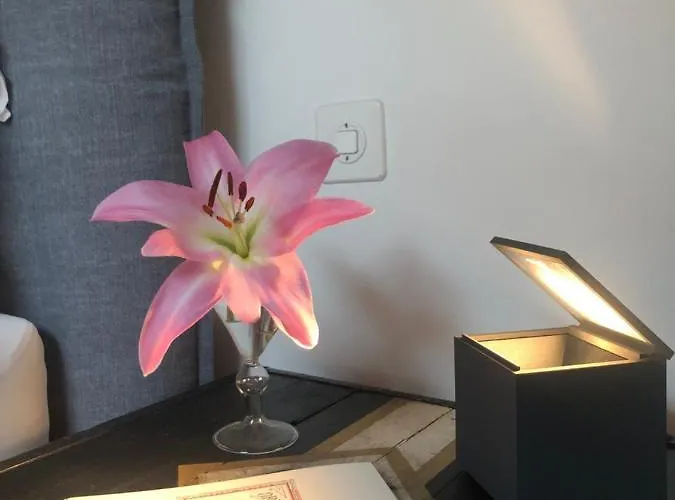 La Corte Dell'ulivo * Locarno